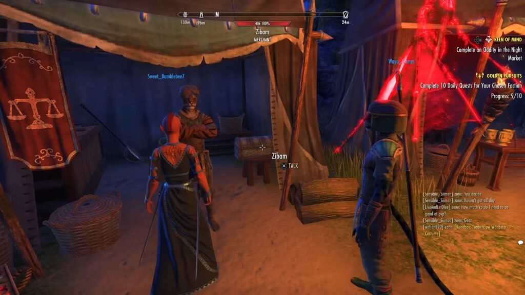 NPCs guarding a safebox near the merchant Zibam in Auridon in The Elder Scrolls Online.