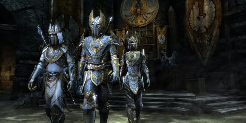 Soldiers of the Aldmeri Dominion in The Elder Scrolls.