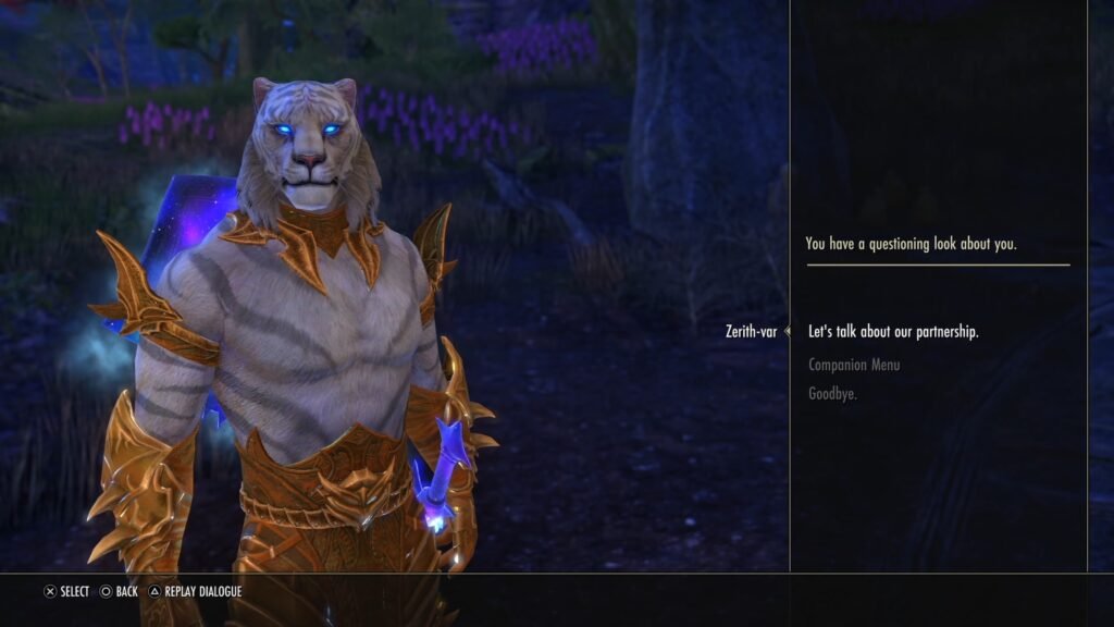 Screenshot of Zerith-var's Companion Menu, showing the companion wearing golden gear.